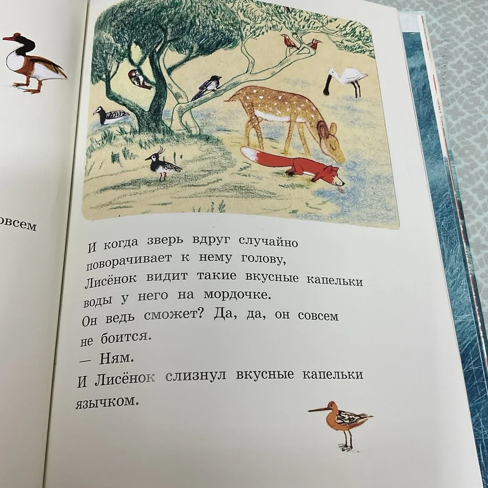 Русские Детские Книги /‎ Russian Books For Kids Лисёнок Эдвард Ван Де Вендел